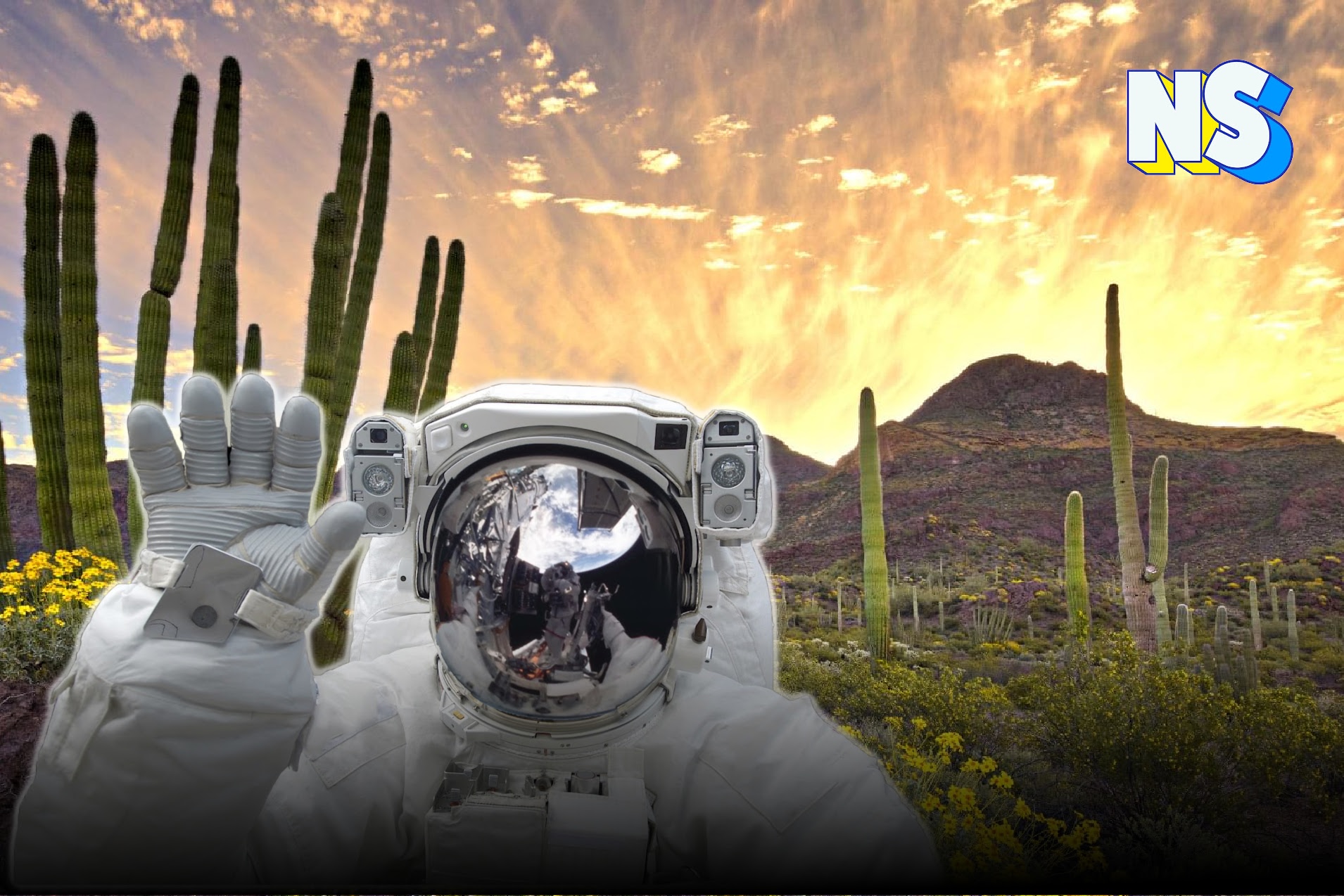 Mexican Desert Astronauts Moon Nuestro Stories