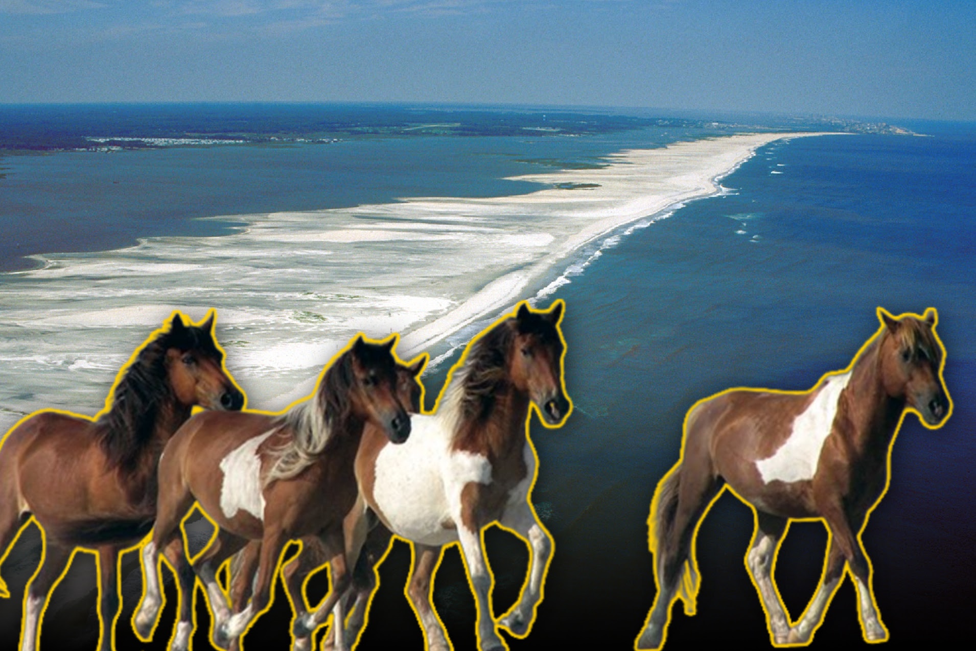 What the Assateague Island Has Buried Beneath Her Shores nuestro stories
