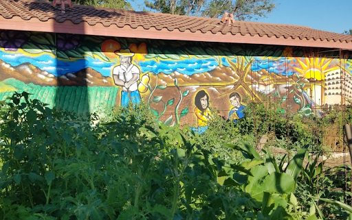 Community = Love: The Community Settlement House of Riverside nuestro stories