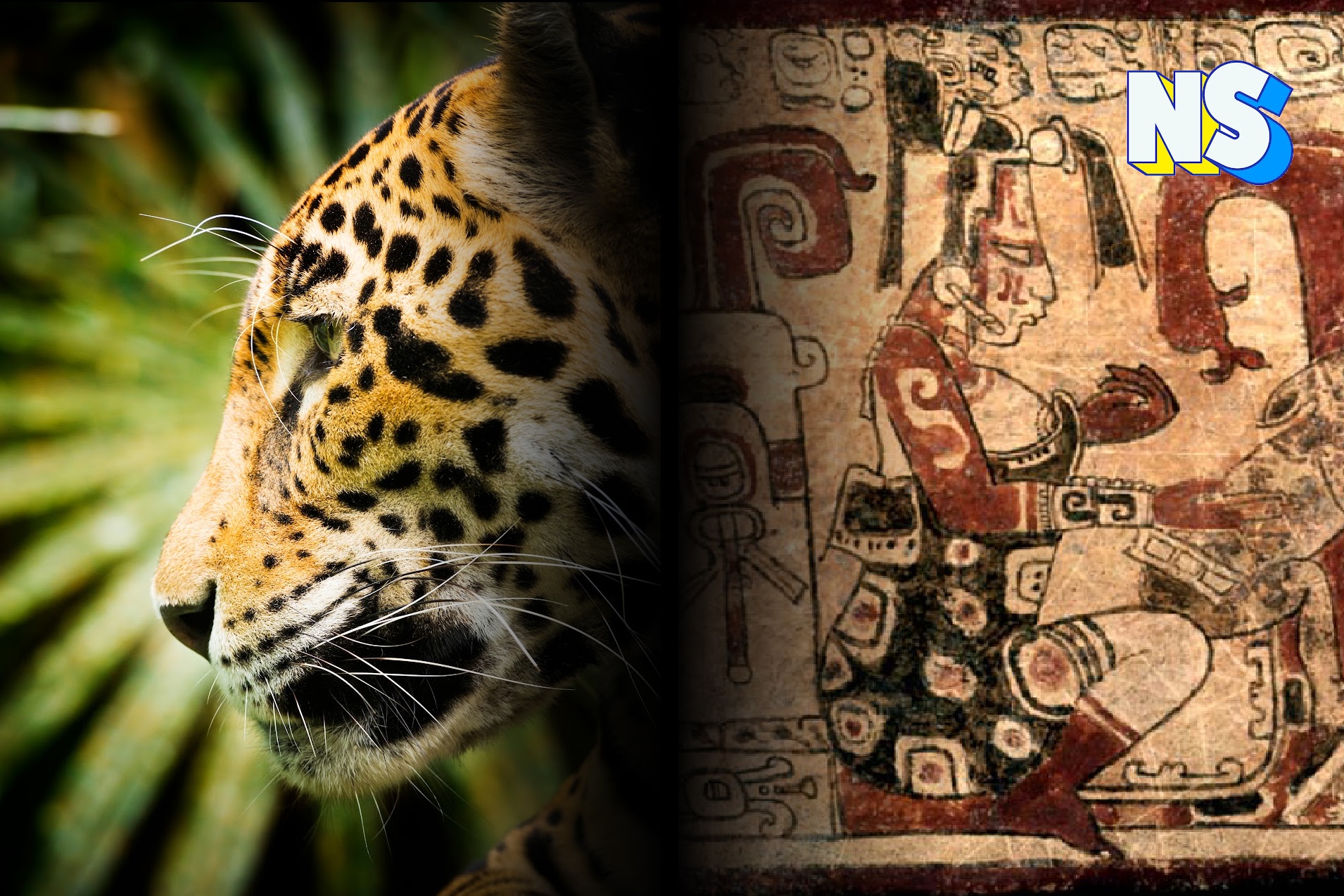 Symbol of the Divine: The Jaguar’s Powerful Connection to the Maya