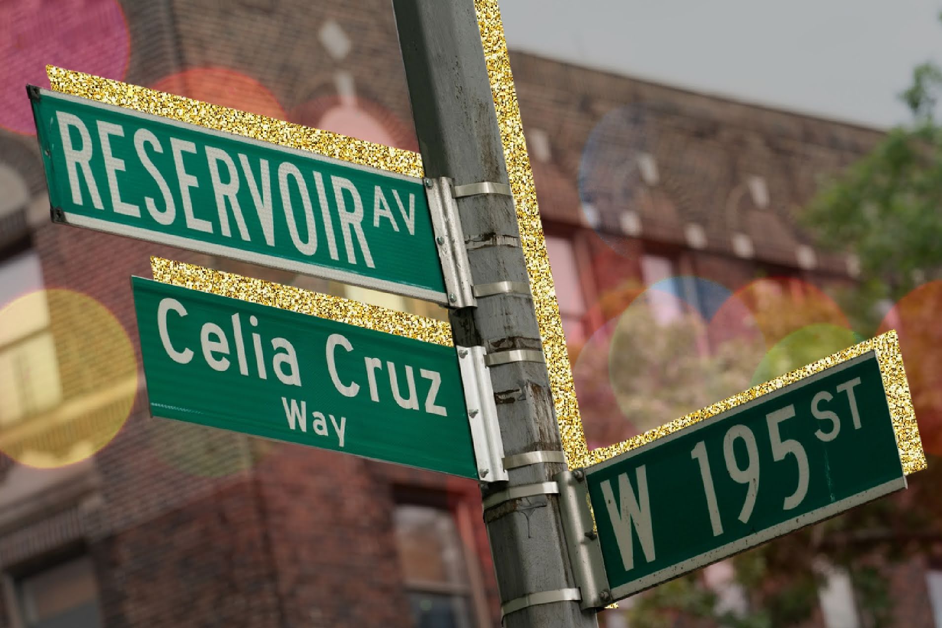 The Bronx is Home to One of the Streets Named After the Queen of Salsa nuestro stories
