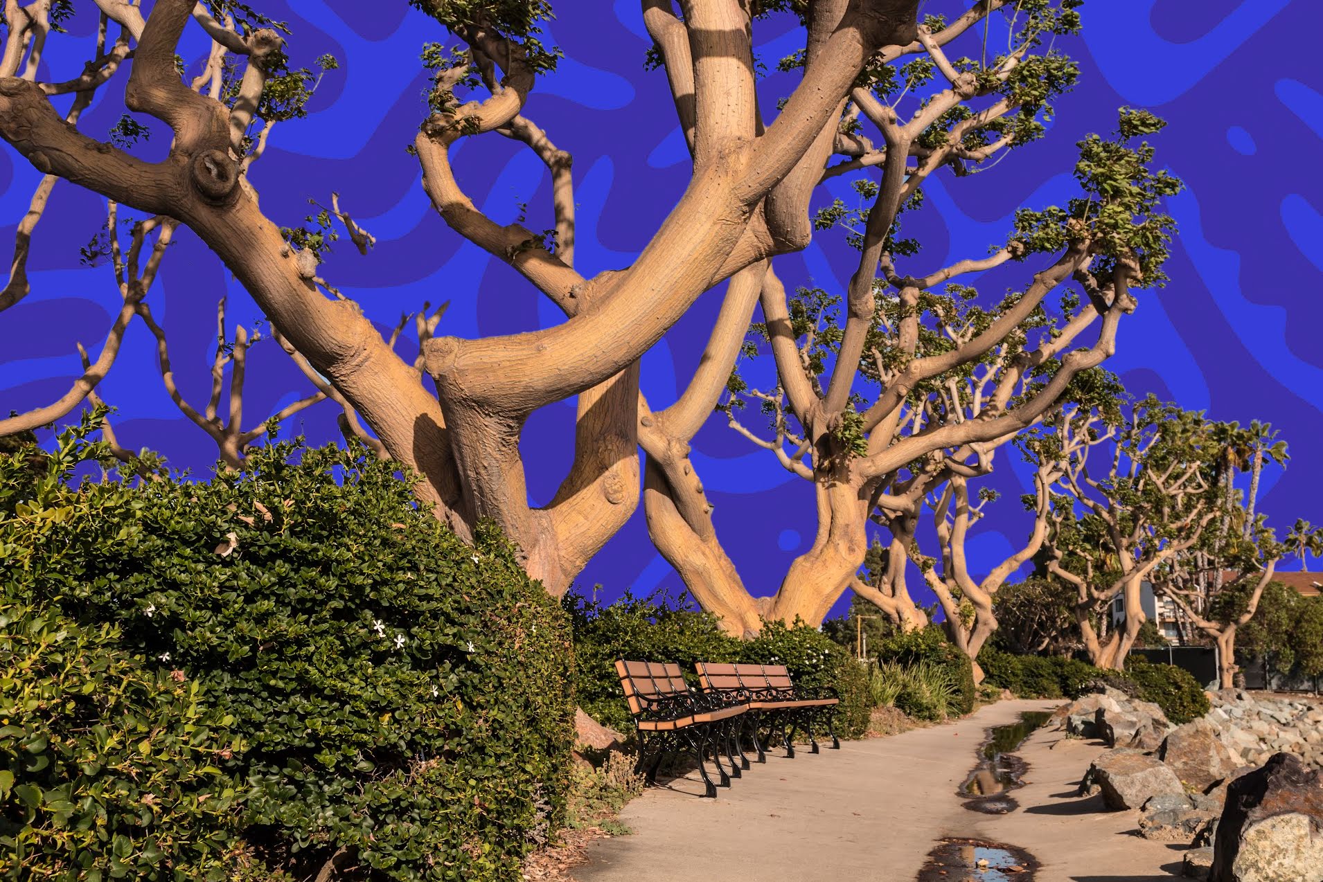 Spanish Landing Park Marks the Spot Where the Conquerors from the Portola-Serra Expedition Landed nuestro stories