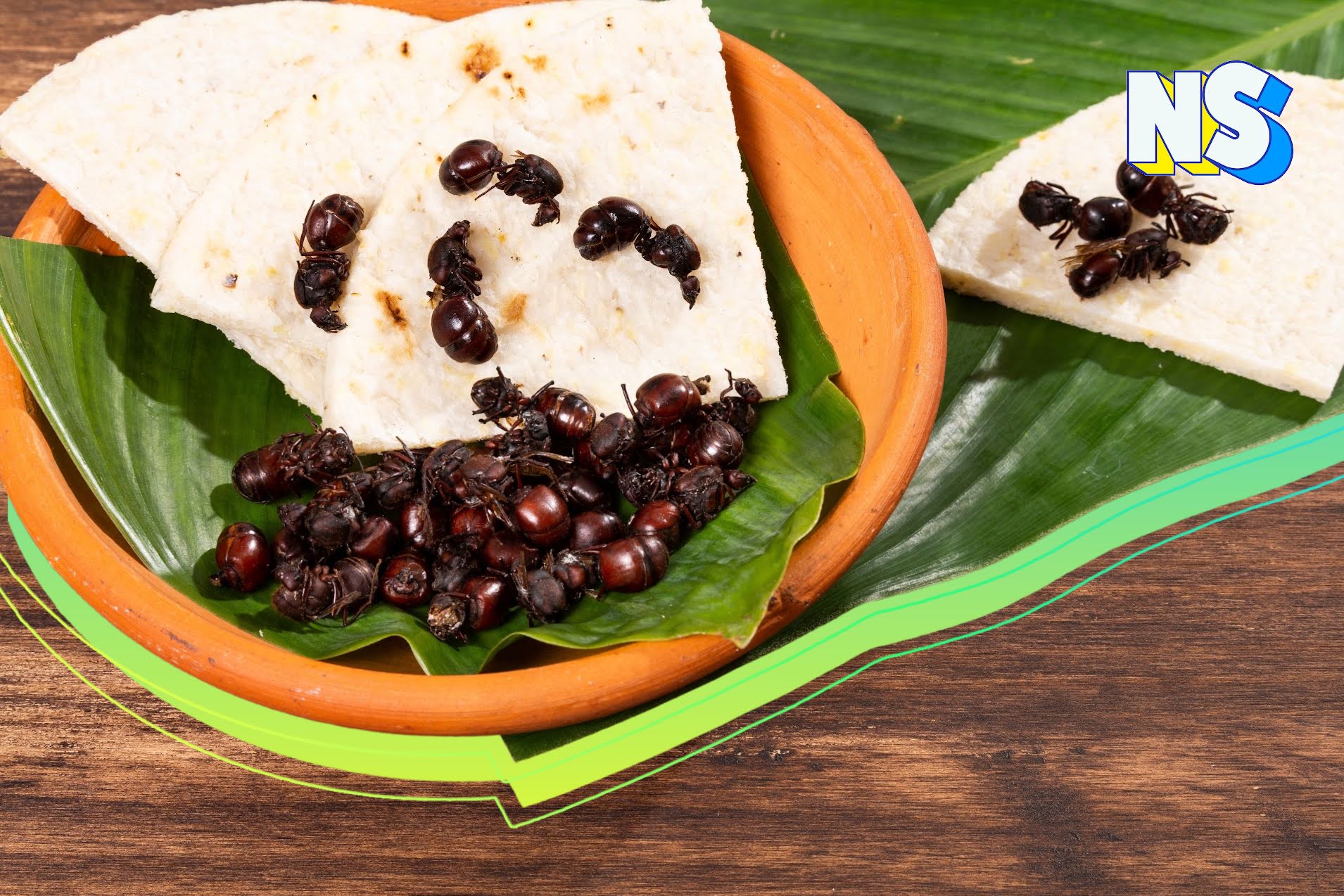 Ay, Que Rico: Ants Are a Culinary Delicacy for Some Latinos